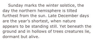     Sunday marks the winter solstice, the day the northern hemisphere is tilted furthest from the sun. Late December days are the year’s shortest, when nature appears to be standing still. Yet beneath the ground and in hollows of trees creatures lie, dormant but alive.