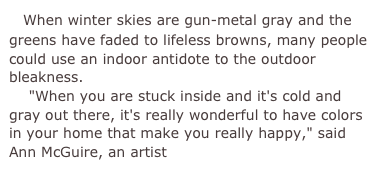     When winter skies are gun-metal gray and the greens have faded to lifeless browns, many people could use an indoor antidote to the outdoor bleakness.
    "When you are stuck inside and it's cold and gray out there, it's really wonderful to have colors in your home that make you really happy," said Ann McGuire, an artist 
